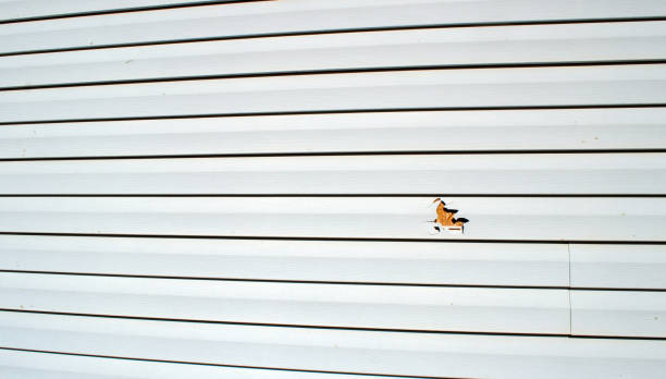 Best Composite Siding  in Monticello, FL